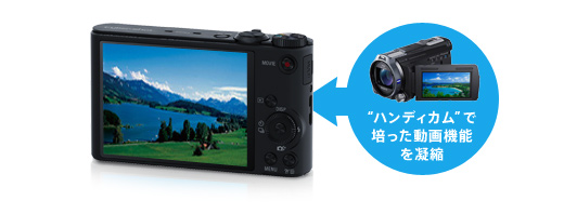 DSC-WX300 特長 : 楽しい撮影機能＆フルハイビジョン動画撮影