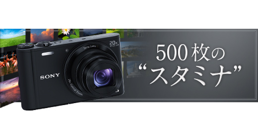 DSC-WX300 特長 : 光学20倍プレミアム・ハイズーム | デジタルスチル
