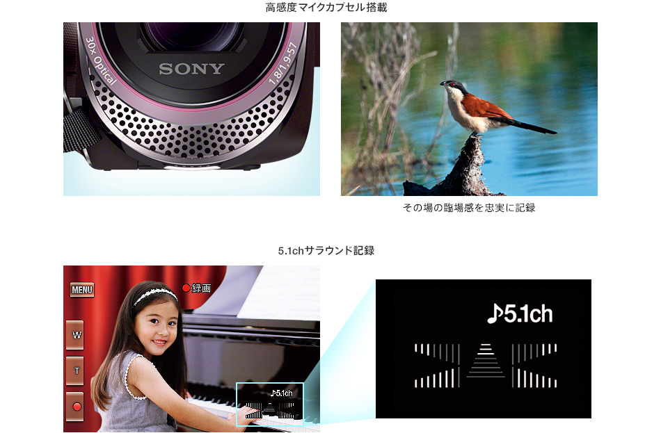 HDR-CX420 特長 : 高音質機能 | デジタルビデオカメラ Handycam