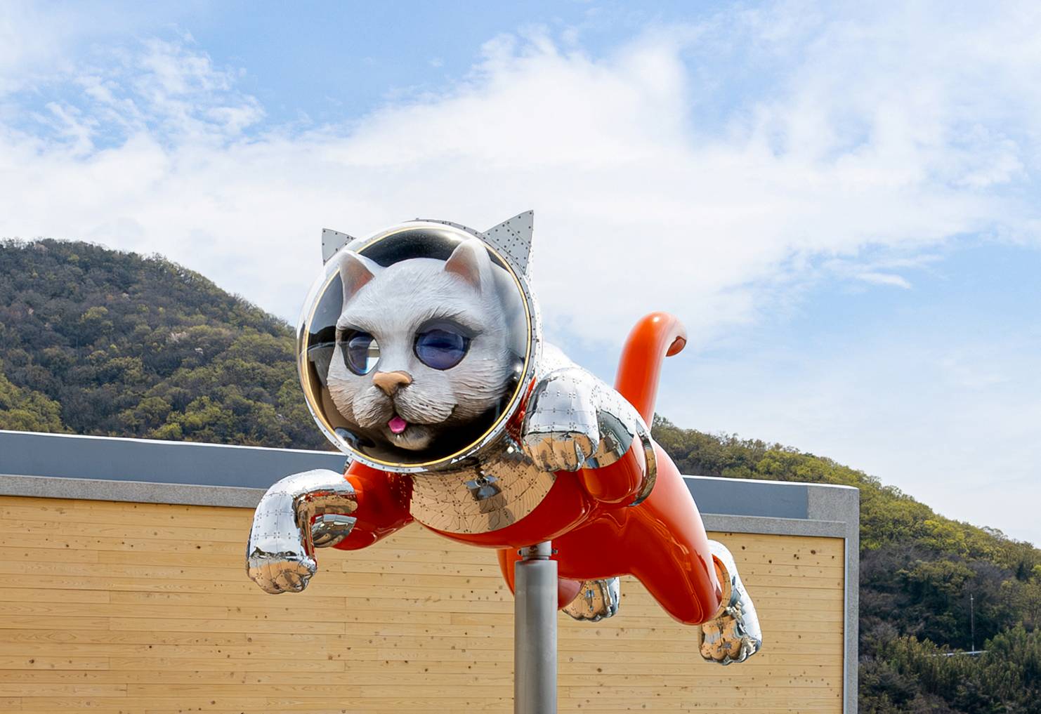 4F SHIP'S CAT（シップス・キャット） - さかてらす