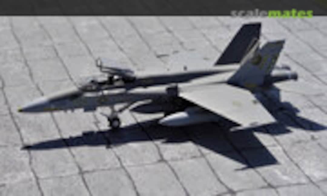 F/A-18C Hornet `Golden Dragons History´, Hasegawa 00964 (2009)