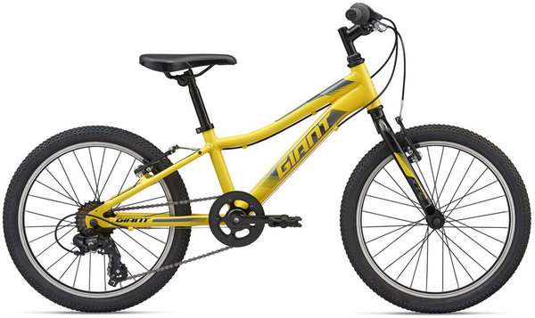Giant XtC JR 20 Lite - Grey Ghost Bicycles