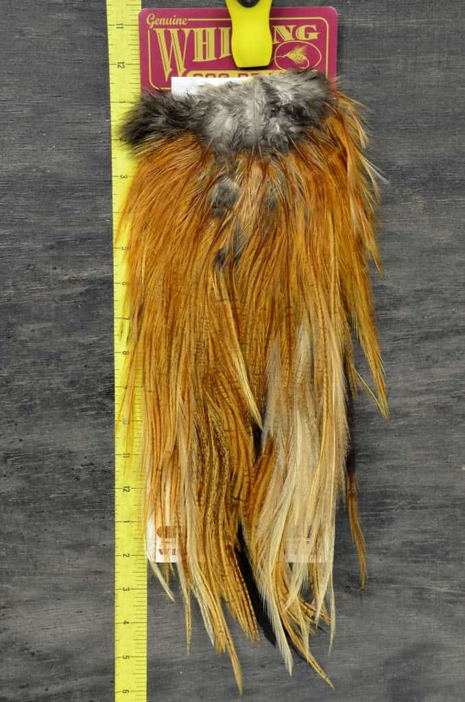 Whiting Coq De Leon Rooster Saddle for Sale | Slide Inn