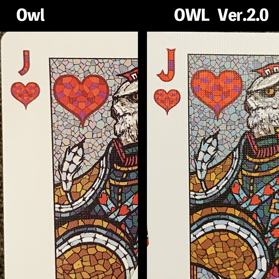 Bicycle Owl Playing Cards (Ver.2.0) Castle Back by Yasuyuki Honne
