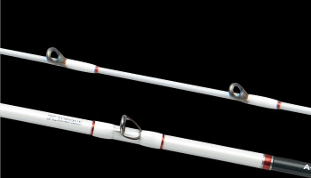 船/船釣り/船ロッド（ダイワ）/○2017○A-ブリッツ ネライ