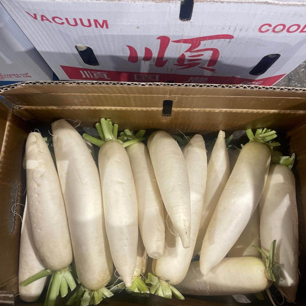 SHOP WHOLESALE DAIKON | Purvey'd