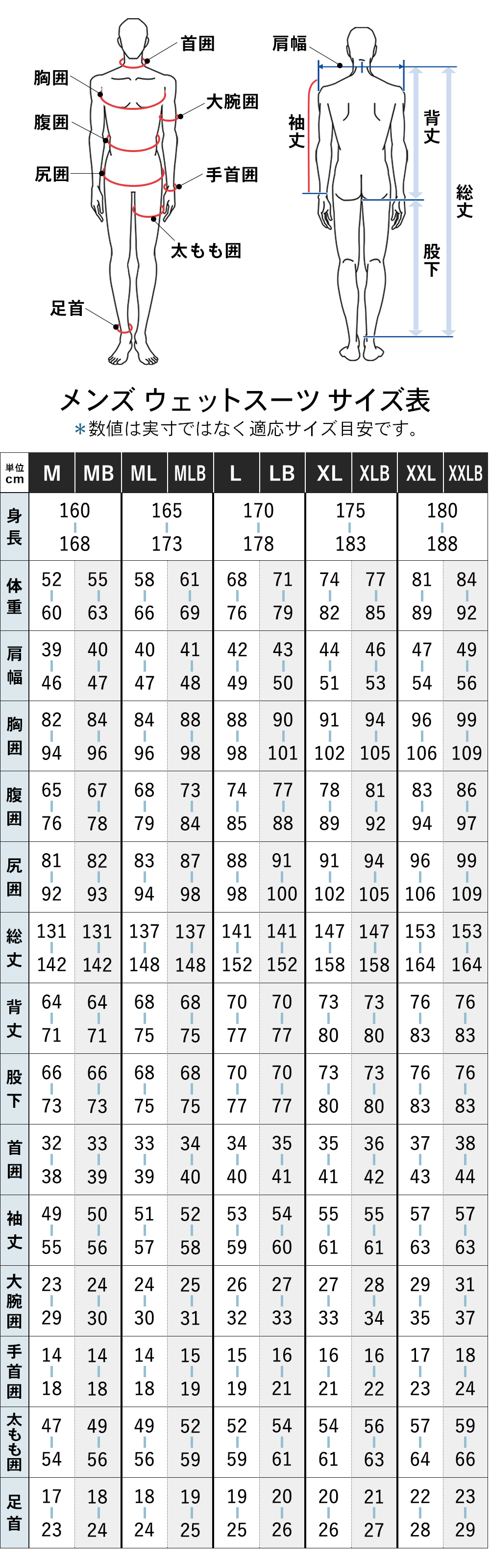 楽天市場】FELLOW セミドライ 5×3mm ウェットスーツ チェストジップ