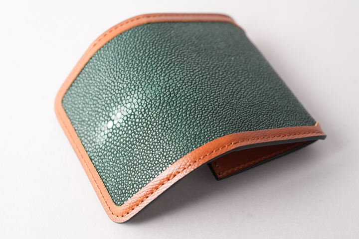 煌めくガルーシャの世界 | WILDSWANS(ワイルドスワンズ)オフィシャルサイト