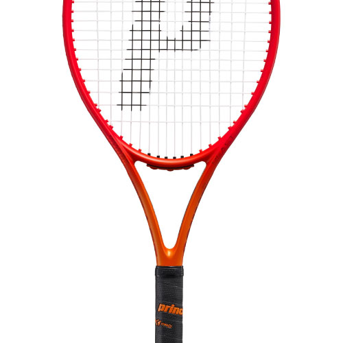 ウインザーオンラインショッププリンス ビースト 100 300g（prince