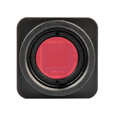 顕微鏡用高感度・高画質USB3.0デジタルカメラ｜WRAYCAM-LEO｜レイマー