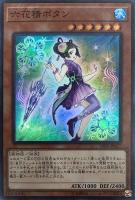 副話術士クララ＆ルーシカ【遊戯王トレカお買得価格通販：CBトレコロ】