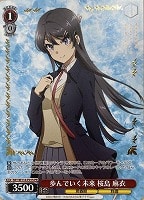 カードを売る/ヴァイスシュヴァルツ/2024年度作品/『青春ブタ野郎