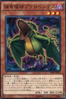 トラップトリック【遊戯王トレカお買得価格通販：CBトレコロ】