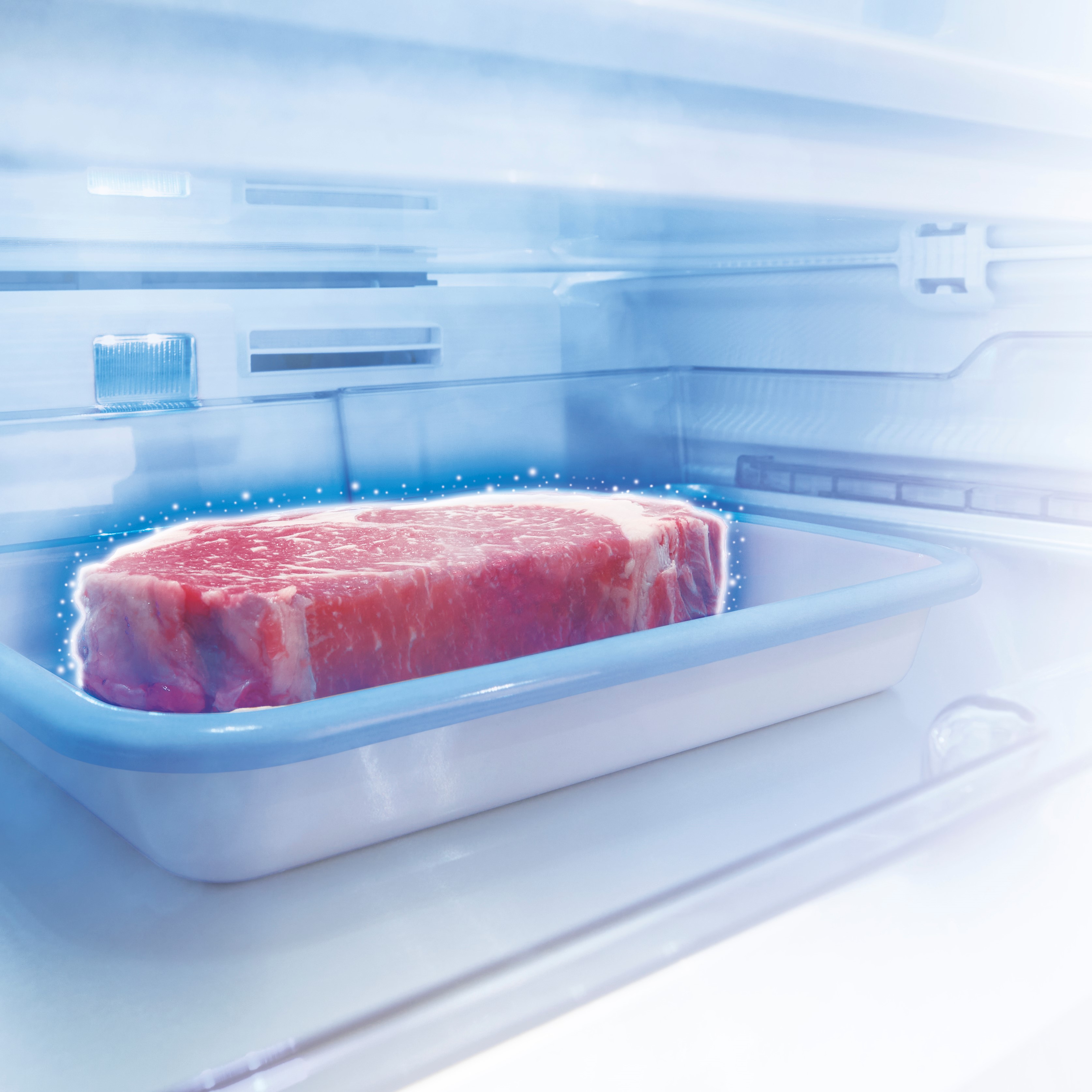 GR-V550FZ | 冷蔵庫 | 東芝ライフスタイル株式会社