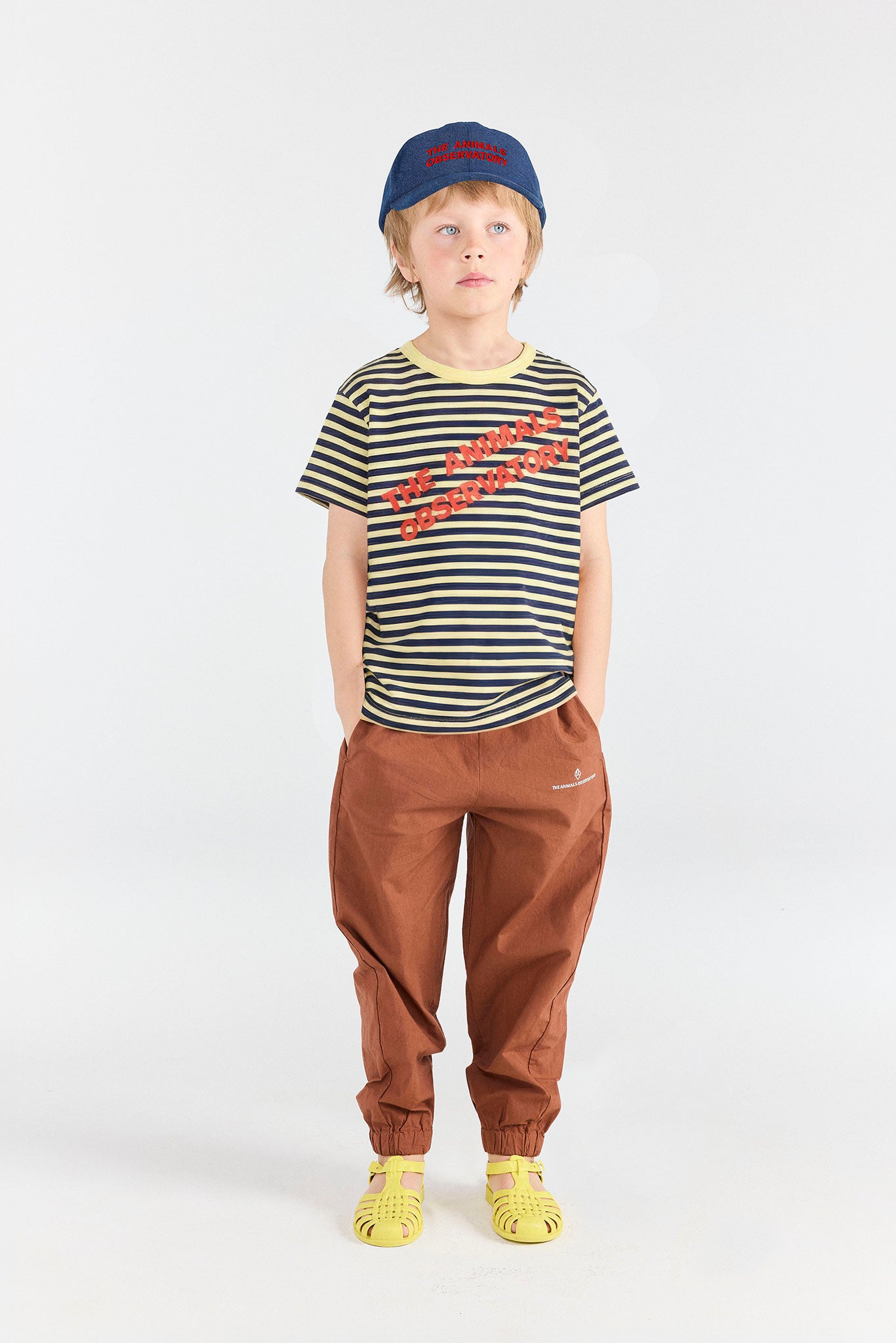 Hats | The Animals Observatory