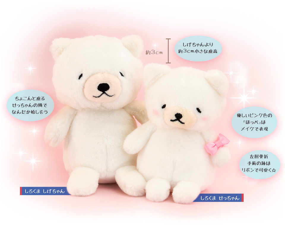 ボークス創業50周年 記念プロジェクト - 特別企画その1 しろくま