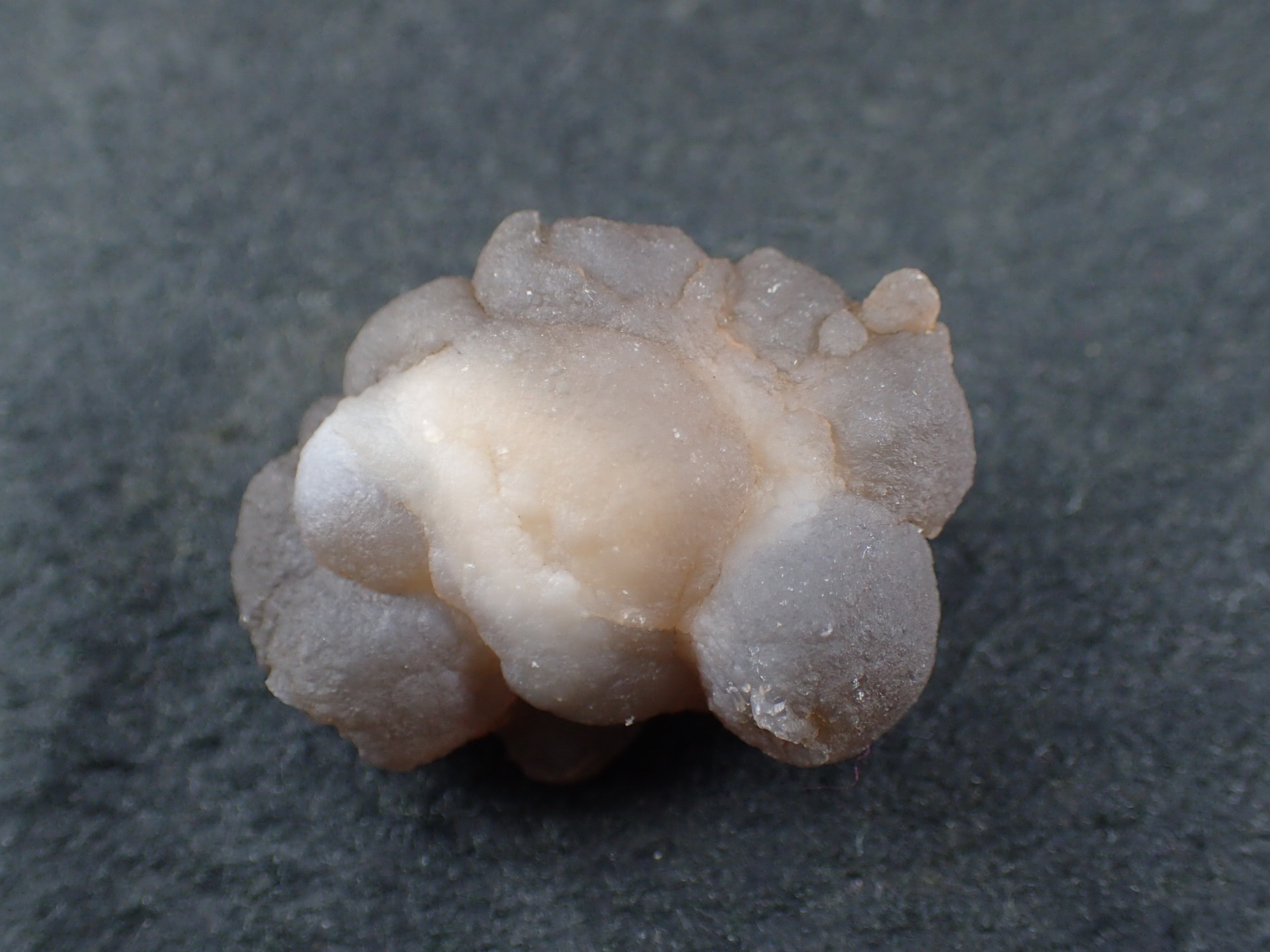 最高品質蛍光鉱物 球状玉髄（Chalcedony, Geode) Marrakech, Sidi