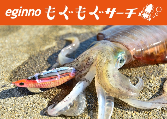 エギーノもぐもぐサーチ｜YAMASHITA｜イカ釣りで世界トップクラス