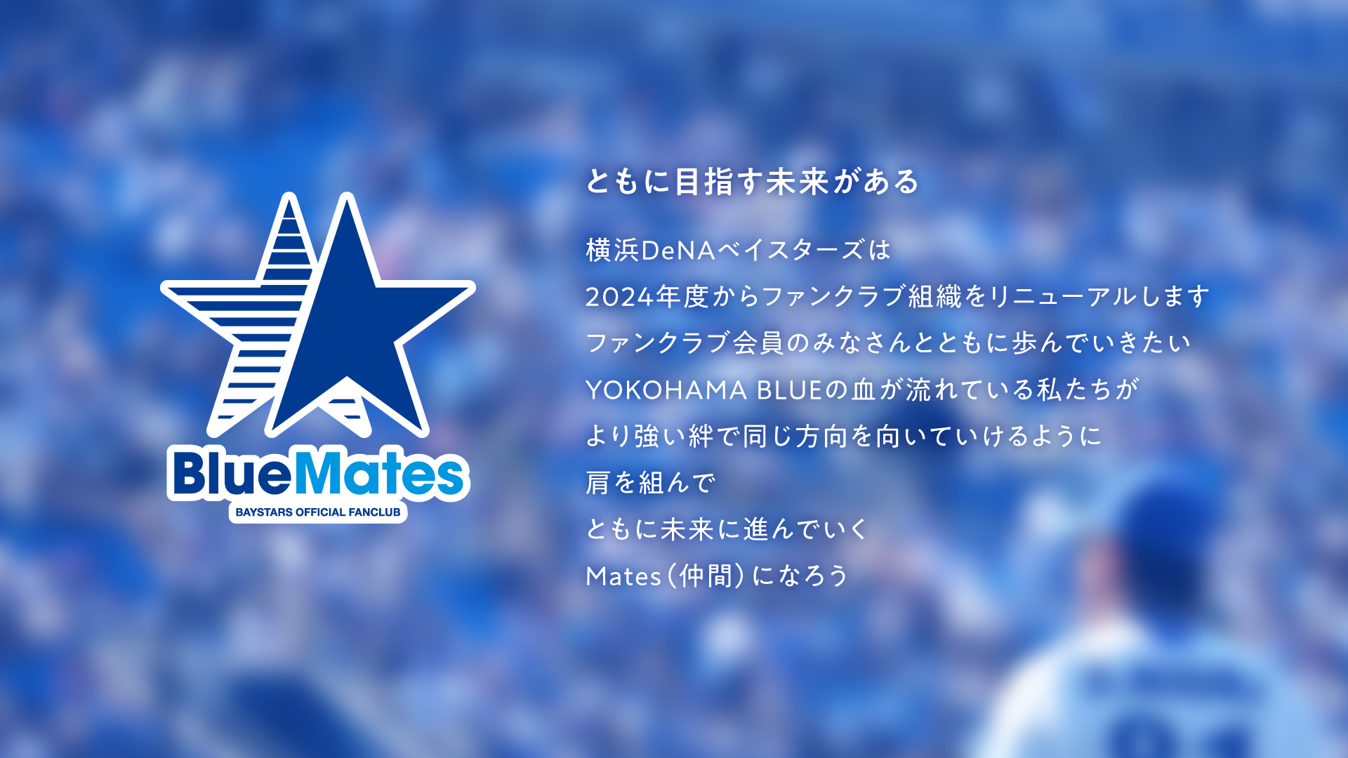 横浜DeNAベイスターズ 新たな公式ファンクラブ名称が決定 『“BlueMates