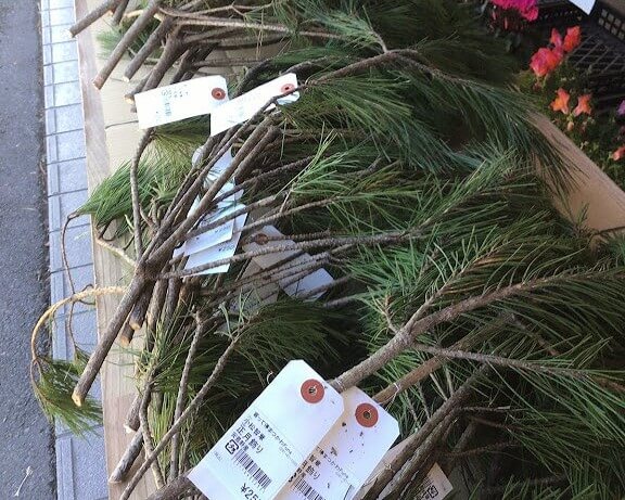 長野県版】「道の駅」カード・記念指定券 販売中 | 寄って停まつかわ