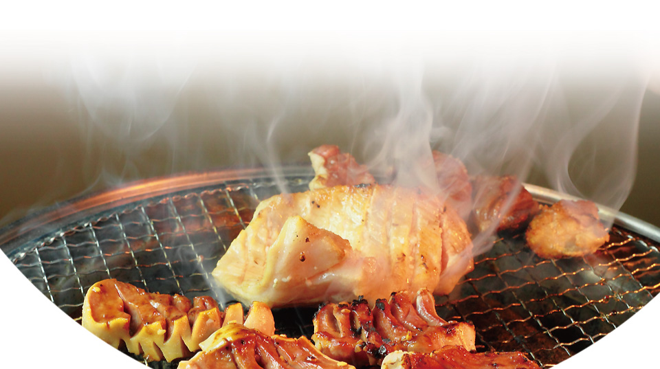 ザイグルシンプル製品詳細 ザイグル公式サイト