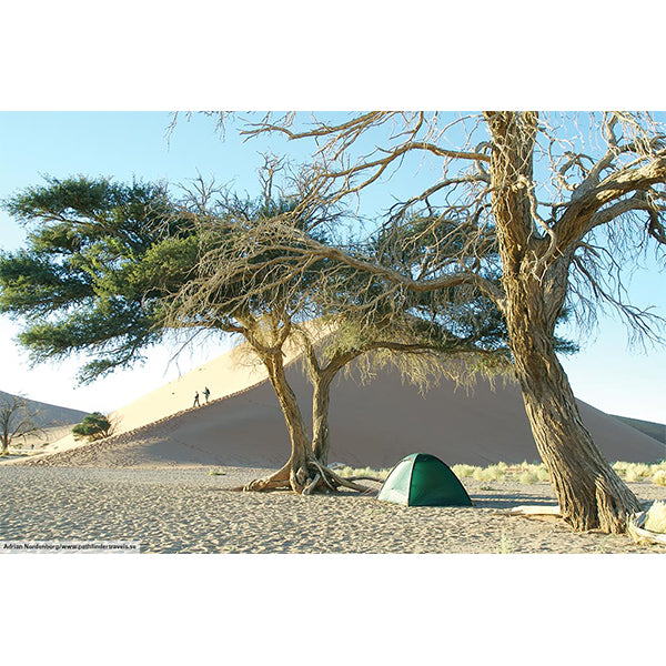 正規品 ヒルバーグ ウナ サンドカラー 純正フットプリント付き