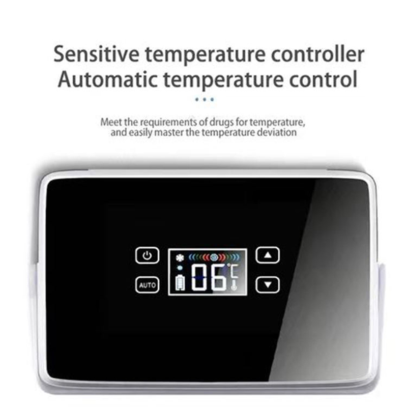 インスリン冷蔵ボックス薬クーラー 2 バッテリー付き大容量車の冷蔵庫