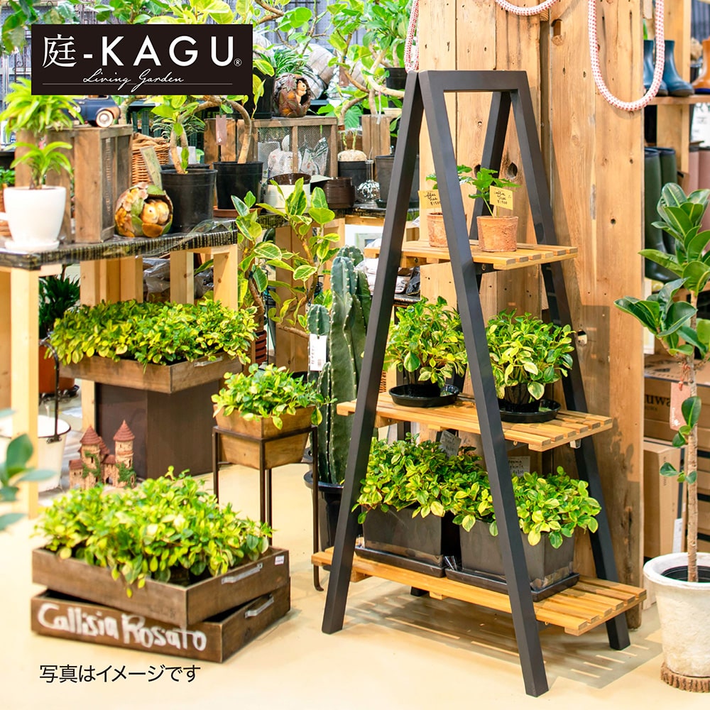 ツリーシェルフ /B(ツリーシェルフ): テーブル・チェアー・パラソル