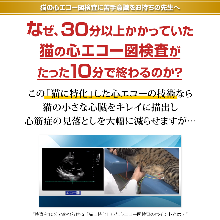 実戦的！猫の心エコー検査 | 株式会社 医療情報研究所