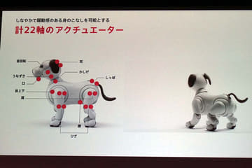 ソニーのロボット犬「aibo」復活! 心のつながりをもつエンタメロボ