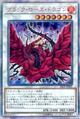 2026年最新】20thシークレットレア special packの人気アイテム - メルカリ