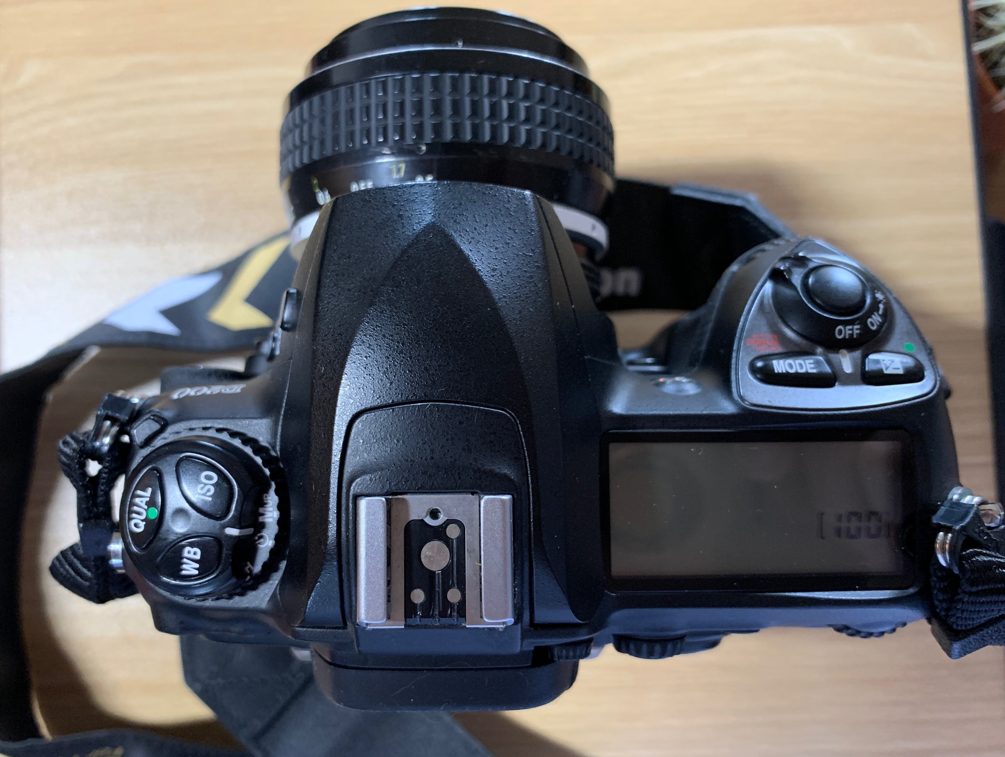 プレジェネデジカム② NikonD200、Tokina AT-X pro 28-80mm f2.8｜きく