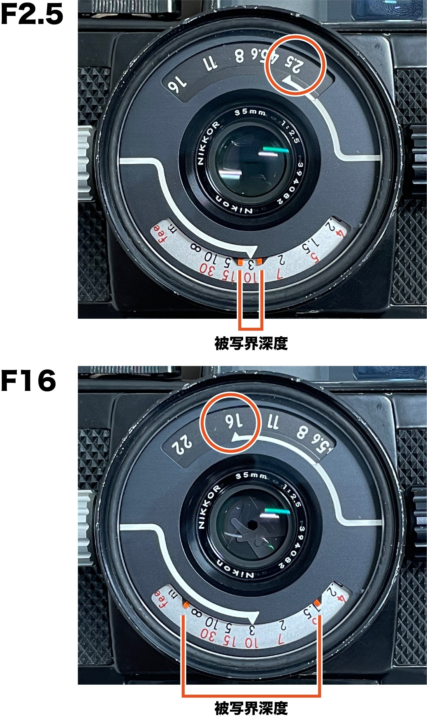 ようこそNIKONOS III｜MOJA MOJA