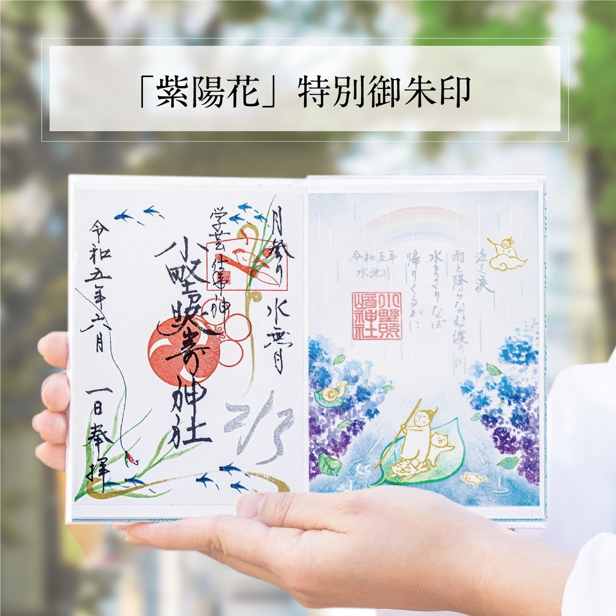 💧6月の特別御朱印💧｜小野照崎神社