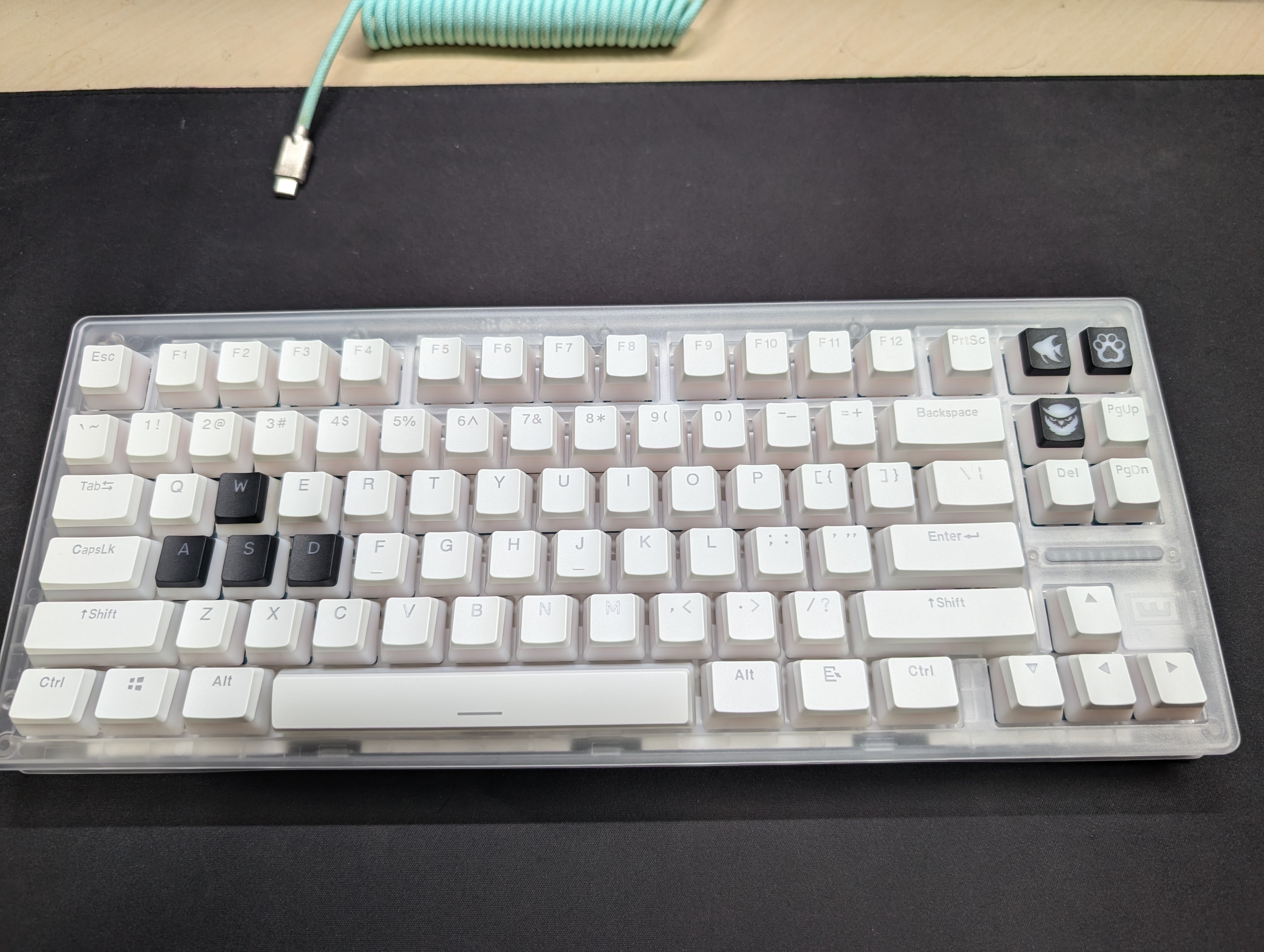 Wooting 80HE その2 ～TTC天王磁軸 电竞版を添えて～｜ふじえだ