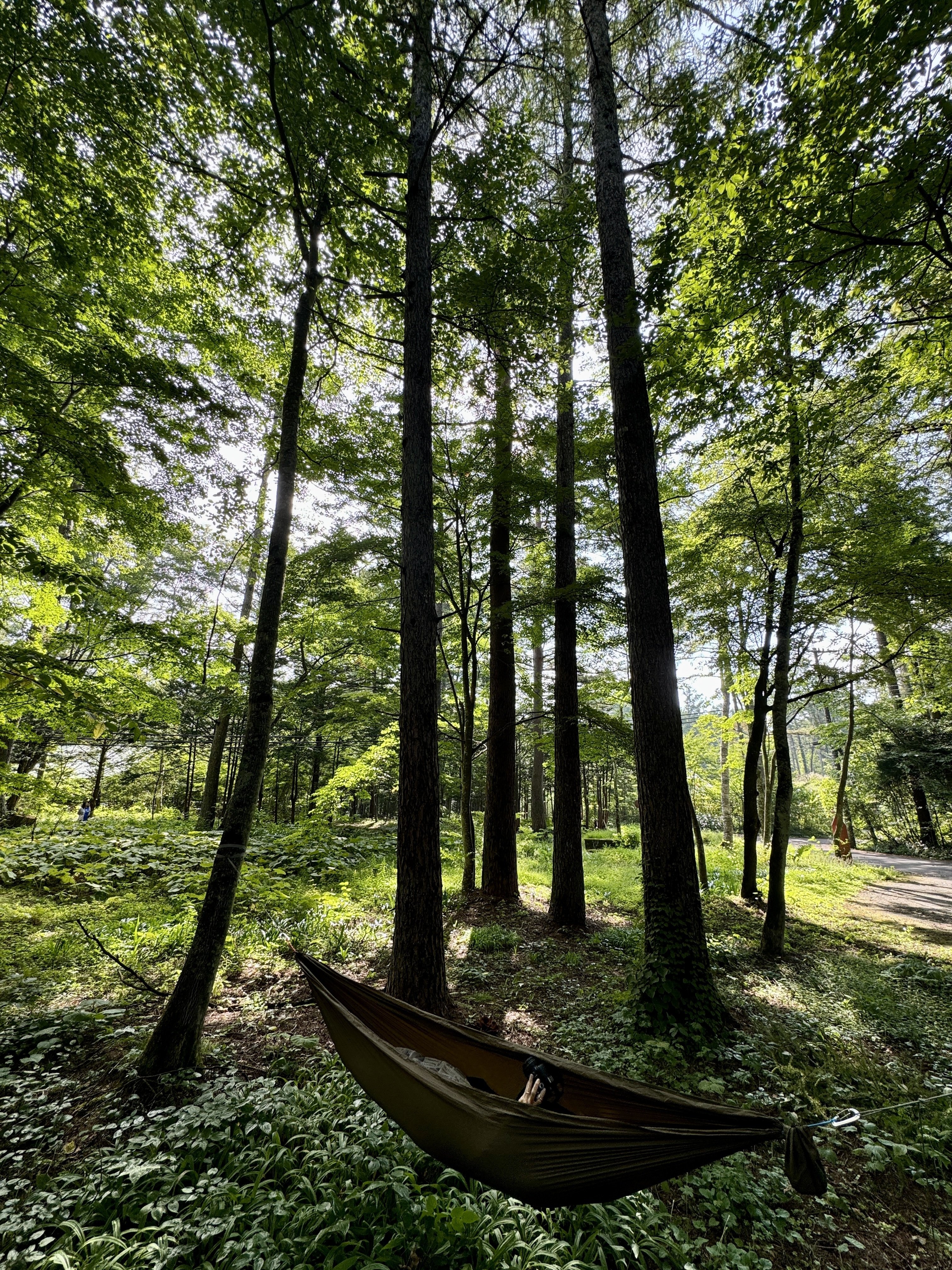 UL考 #14 ハンモック編｜髙畑貴良志