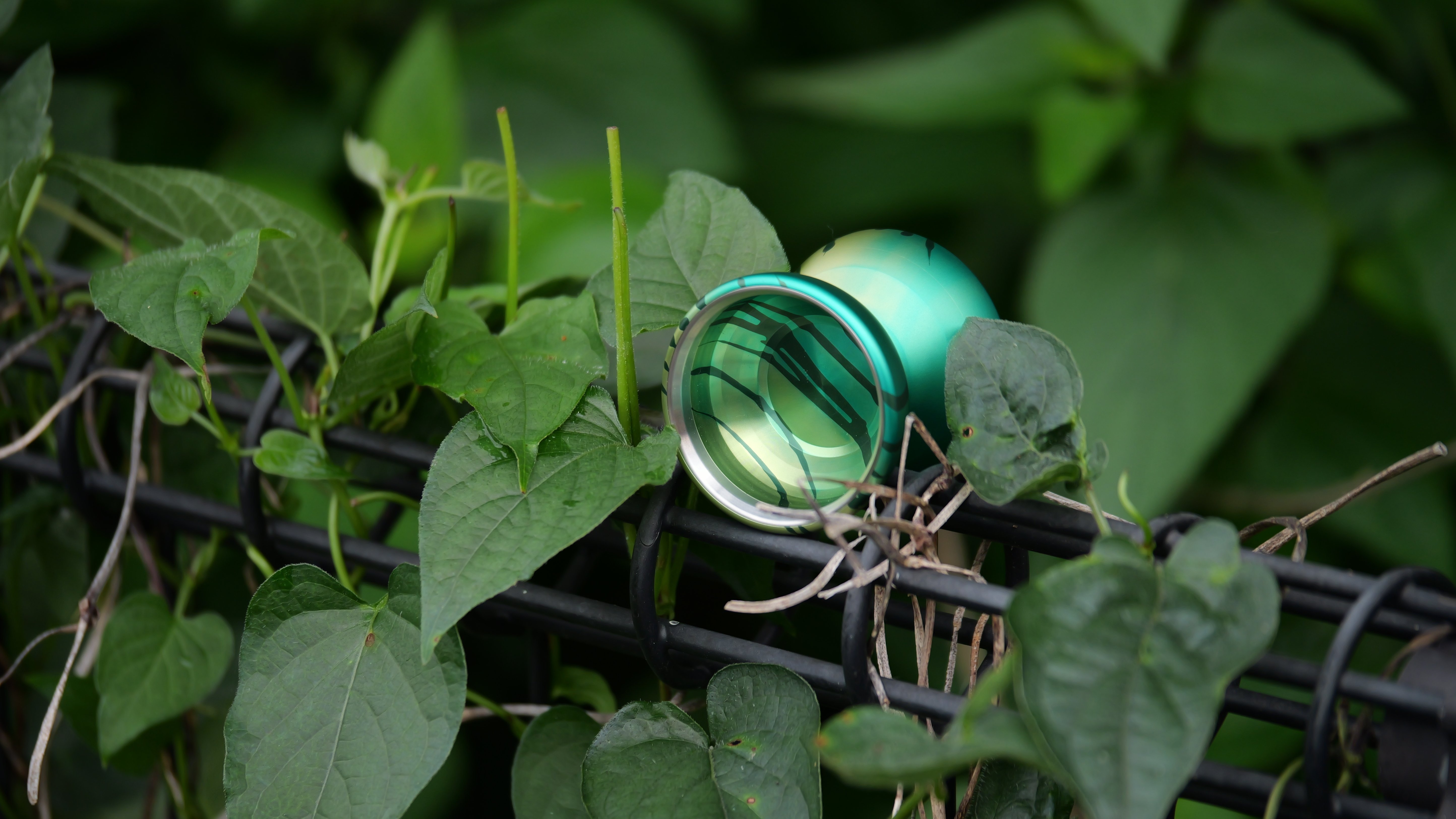 バイメタルモデル「鳥船(トリフネ)」｜en