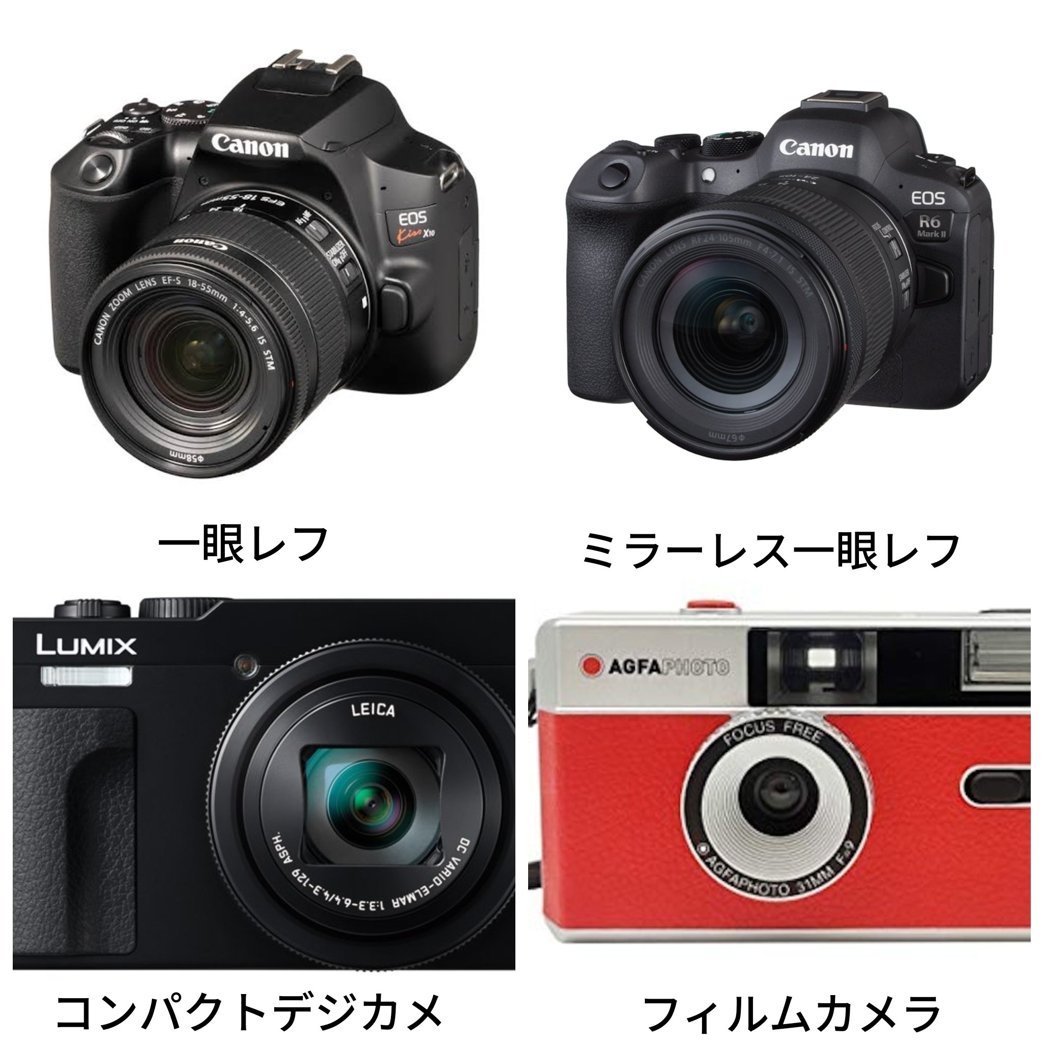 カメラを始めるなら最初に見る記事【カメラの種類編】｜rrrrr（仮）