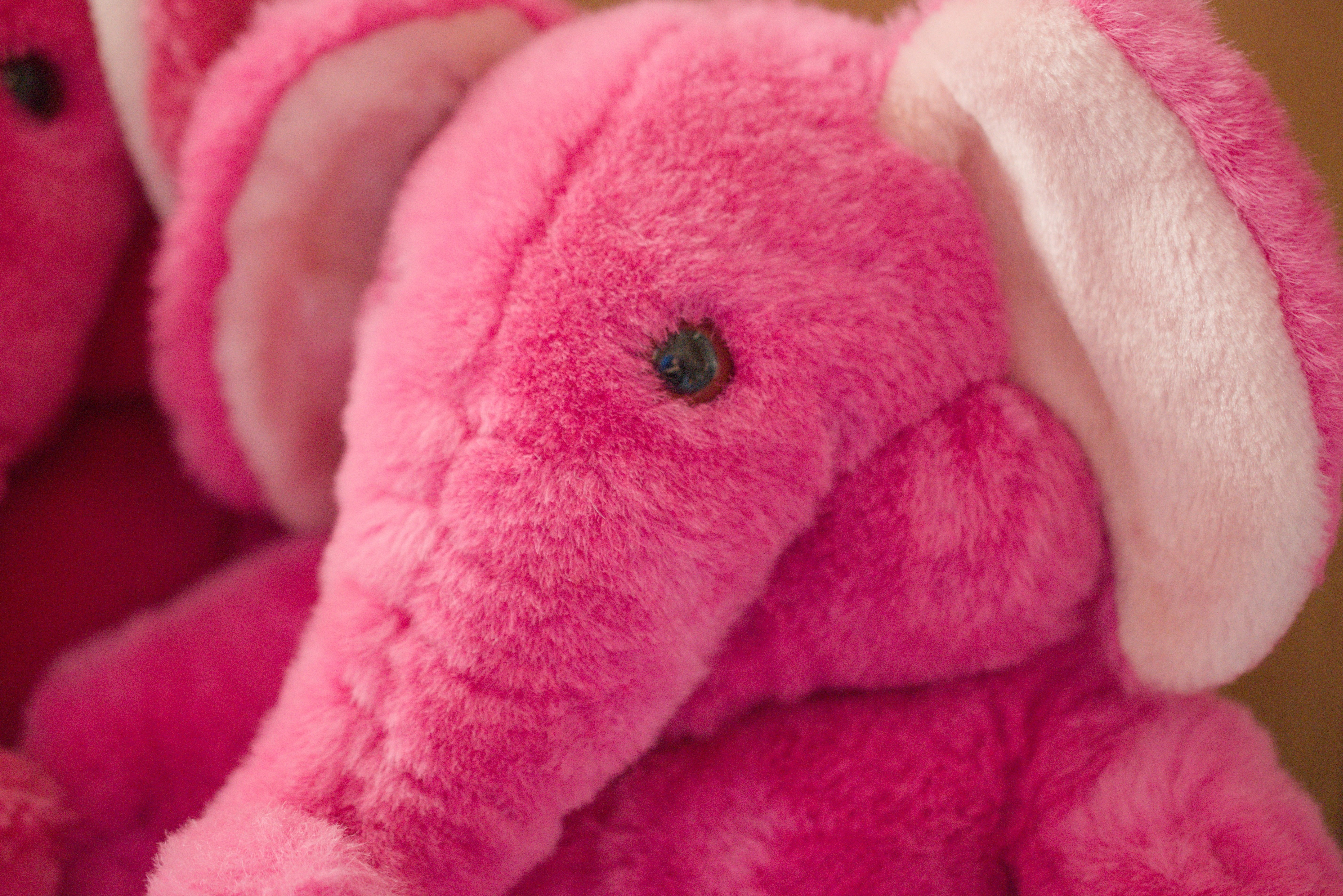 プレイトーキン｜かずい