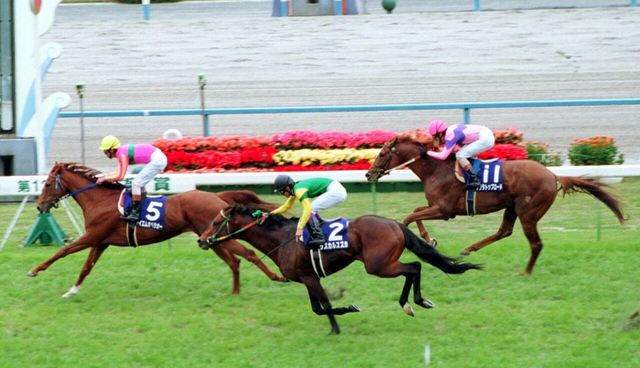 ウマ娘」でも世紀末覇王！2000年テイエムオペラオーの古馬王道GⅠ