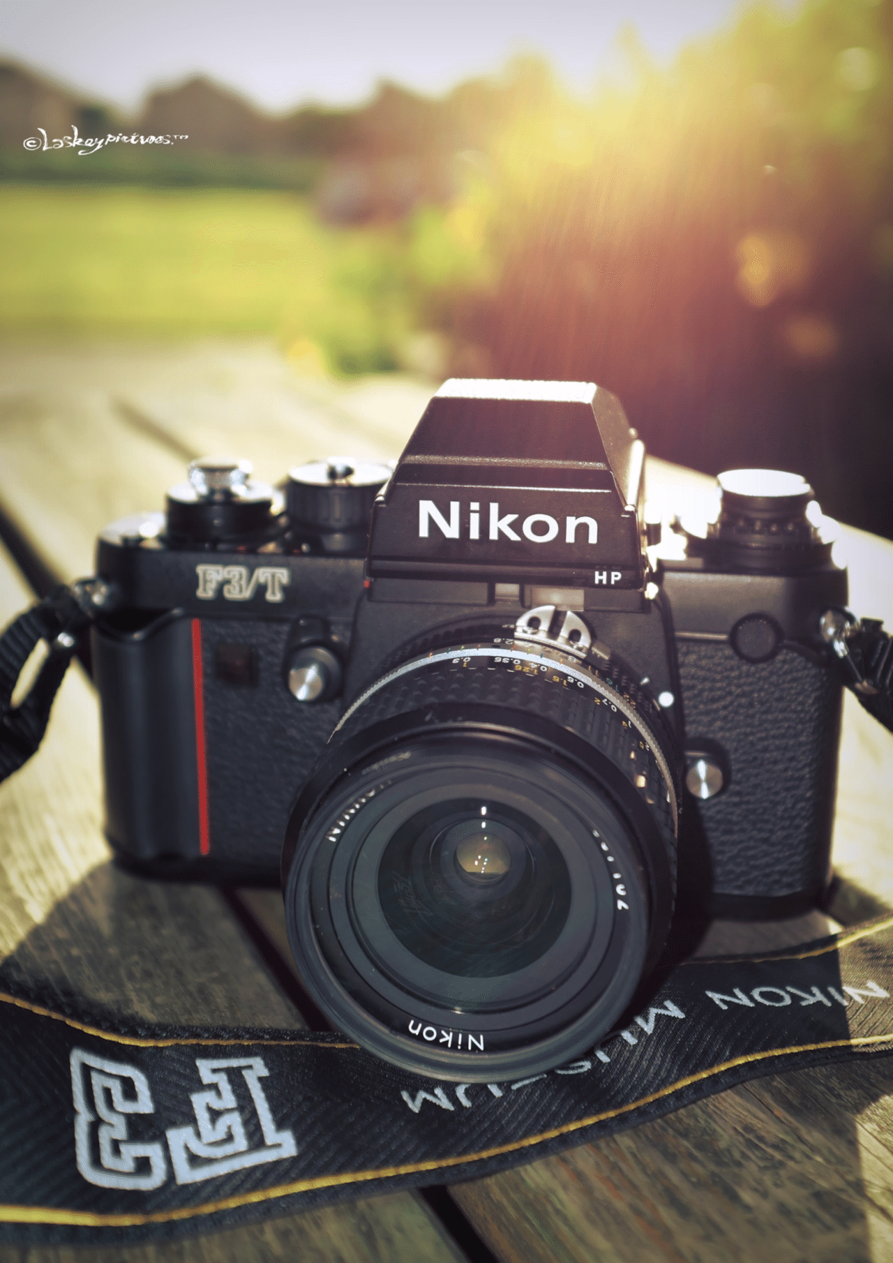Nikon F3/T ブラック フィルムカメラ 一眼レフ B8504969 Nikon F3/T