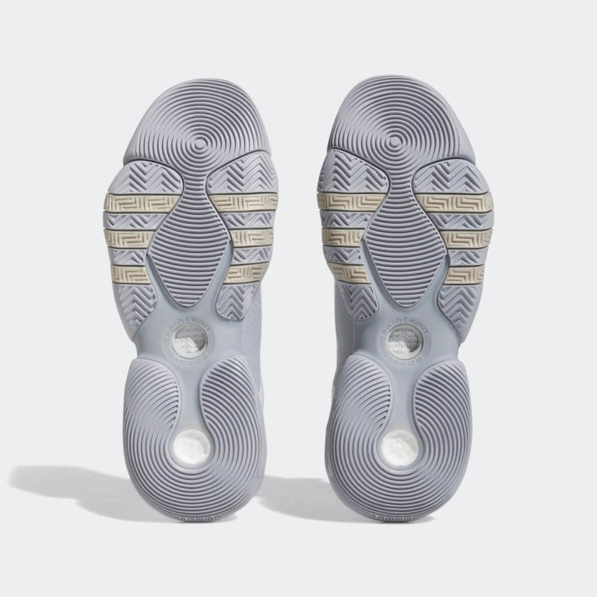 Adidas Trae Young 2 Try-on Review - ASTERKICKS