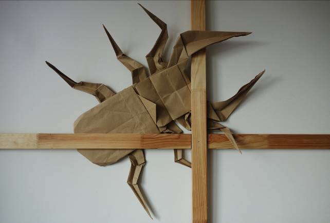 The Silence of Insects （昆虫たちの沈黙） - The Japan Foundation