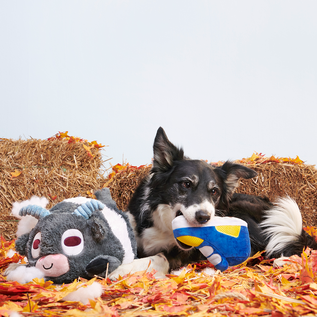 Billy the Kid Plush Extra-Large Dog Toy – BARK