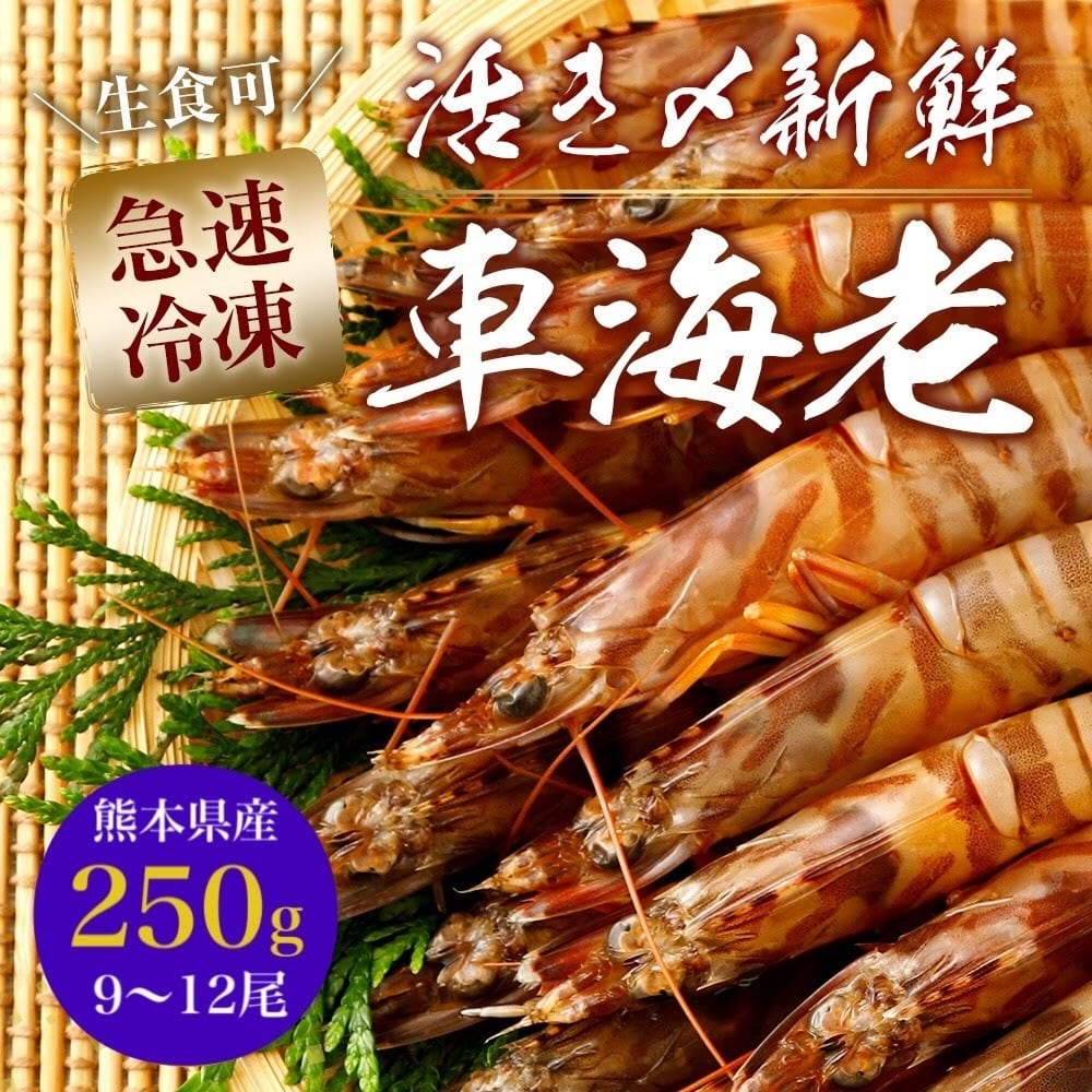 一級品厳選】活き〆瞬間冷凍車えび 250g (9～12尾)熊本県産 水揚げ即