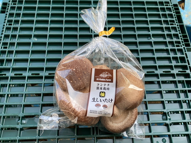 しいたけ - 株式会社ベルグリーンワイズ｜野菜袋などの包装資材、農業
