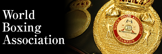 フェルナンド マルティネス vs 井岡 一翔 | WBA世界Sフライ級タイトル