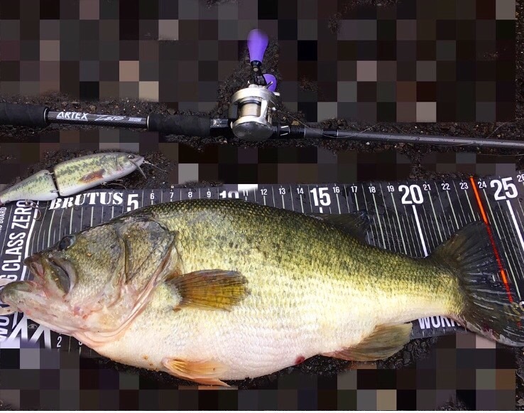 クラッシュ9のヨタ巻きで62.5cm 4640gのテンポンドオーバー