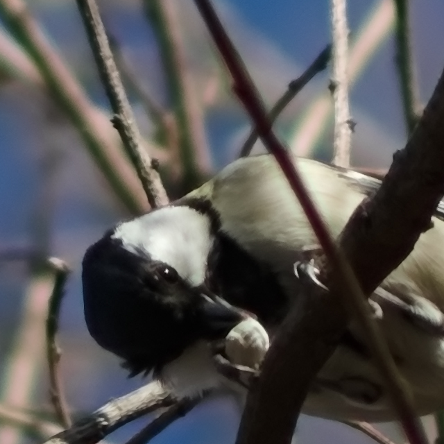 レンズ沼】Canon EF90-300mm F4.5-5.6 USM (2002年) レビュー: とある