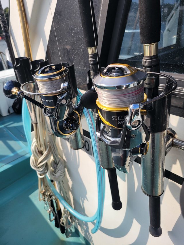 ダイワ スピニングリール 25ソルティガ 10000-P(10000-P): リール